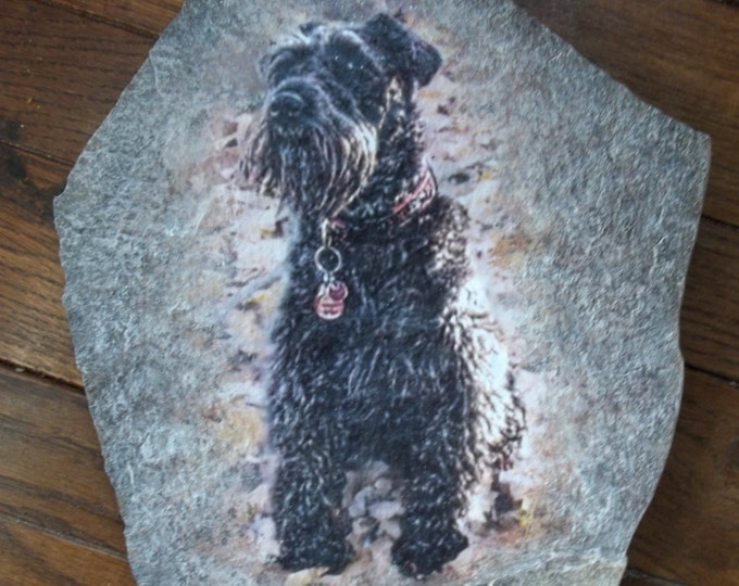 Hand Painted Pet Portrait Photo Art on 8"x 10" Memory Stone