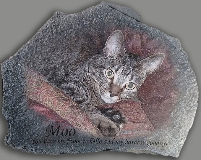 Hand Painted Cat Portrait Photo art with 2 options, Cat's Name, date, paw prints or saying/greeting on Stone
