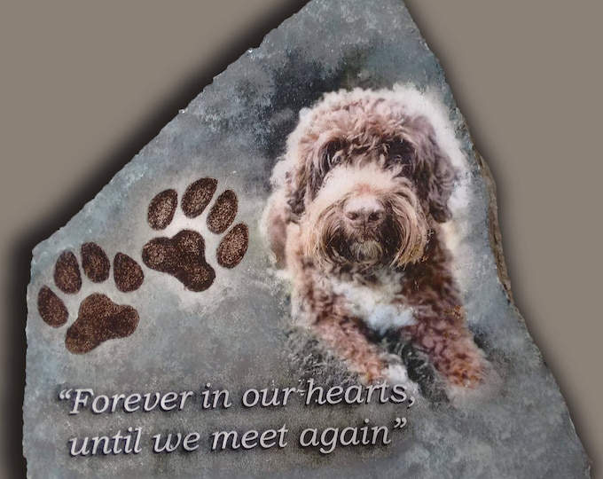Hand Painted Photo Art /Pet Memorial Portrait with 2 options like Pet's Name, Date, Image like Paw Prints/balloons or Quote on Stone