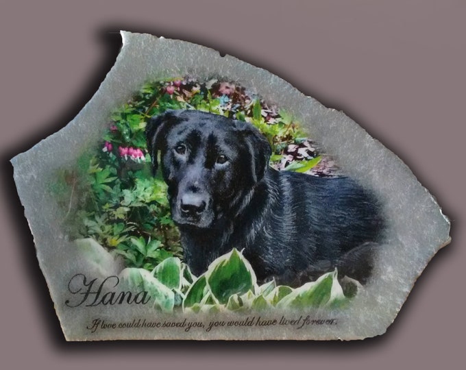 Hand Painted Photo Art /Pet Memorial Portrait with 2 options like Pet's Name, Date, Image like Paw Prints/balloons or Quote on Stone