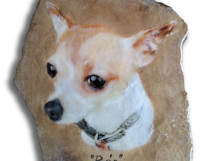 Hand Painted Memorial Pet Portrait Photo art with one option, Pet's Name, saying/greeting, date, or paw prints on large outdoor Stone