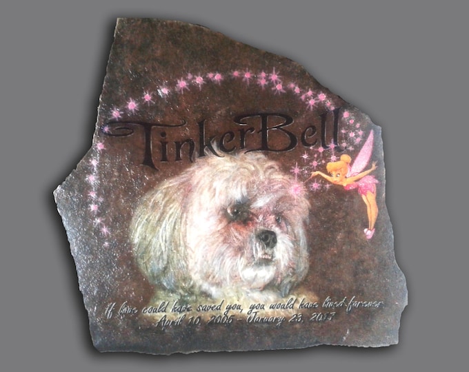 Hand Painted Pet Memorial Photo Art Portrait with 3 options like Quote, Pet Name, Date or Image like Paw Prints on Stone