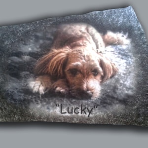 Hand Painted Dog Portrait Photo art with Dog&#39;s Name on Stone