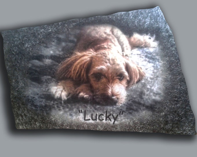 Hand Painted Dog Portrait Photo art with Dog's Name on Stone