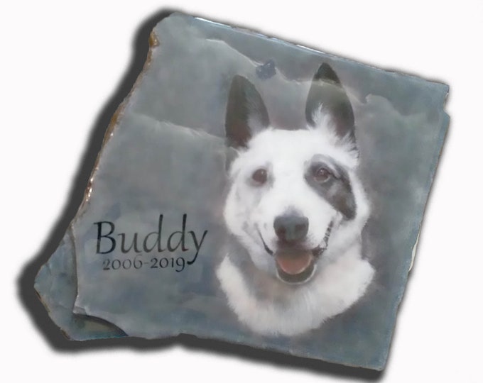 Hand Painted Pet Memorial Photo Art Portrait with quote and name or 2 options of choice on Stone