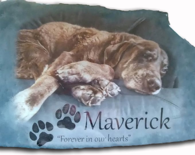 Hand Painted Memorial Pet Portrait Photo art with 3 options, Pet's Name, saying/greeting, date, or paw prints on large outdoor Stone