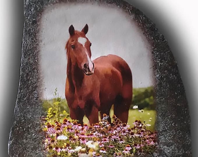 Custom Painted Stone/ Horse Portrait/ Photo Art/ Hand Painted/ Memorial Stone/ Grave Marker/ Horse's Name/ Memory stone/ Remembrance stone