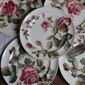 Set of 5 antique English ironstone flat dinner plates. Botanical print. Polychrome Victorian roses. George Jones & Sons crescent. Our Roses image 1
