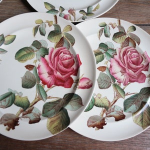 Set of 5 antique English ironstone flat dinner plates. Botanical print. Polychrome Victorian roses. George Jones & Sons crescent. Our Roses image 5