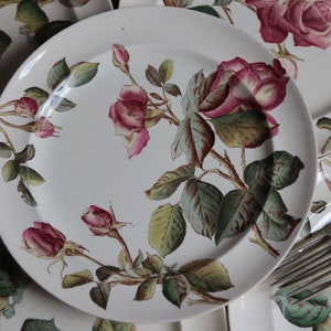 Set of 5 antique English ironstone flat dinner plates. Botanical print. Polychrome Victorian roses. George Jones & Sons crescent. Our Roses image 2