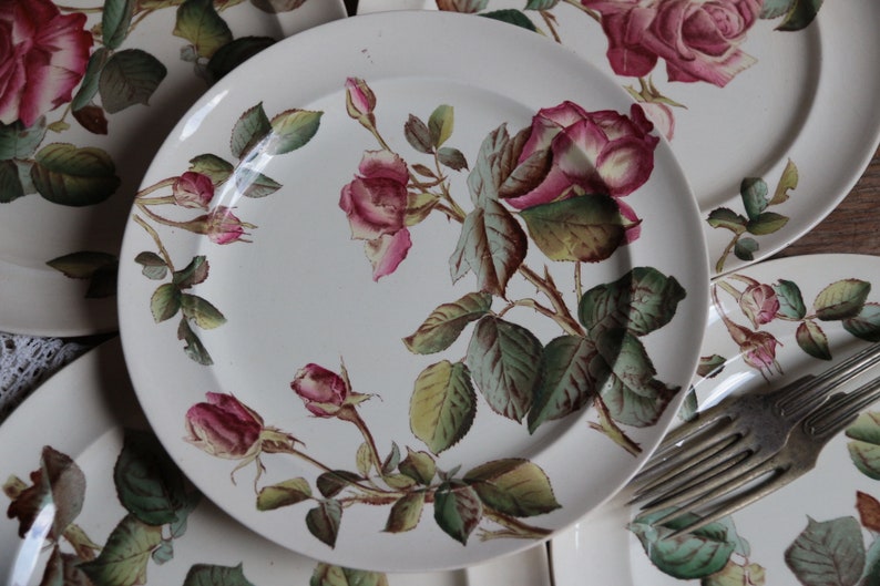 Set of 5 antique English ironstone flat dinner plates. Botanical print. Polychrome Victorian roses. George Jones & Sons crescent. Our Roses image 2
