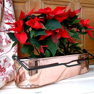 May include: A red poinsettia plant in a copper planter with a black metal handle. The planter is sitting on a white surface.