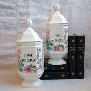 One Antique french Paris porcelain pharmacy jar. Antique porcelain pommade jar. Curiosties cabinet. Vintage scientific. Antique pharmacy