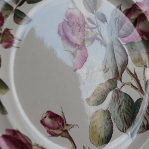 Set of 5 antique English ironstone flat dinner plates. Botanical print. Polychrome Victorian roses. George Jones & Sons crescent. Our Roses image 6