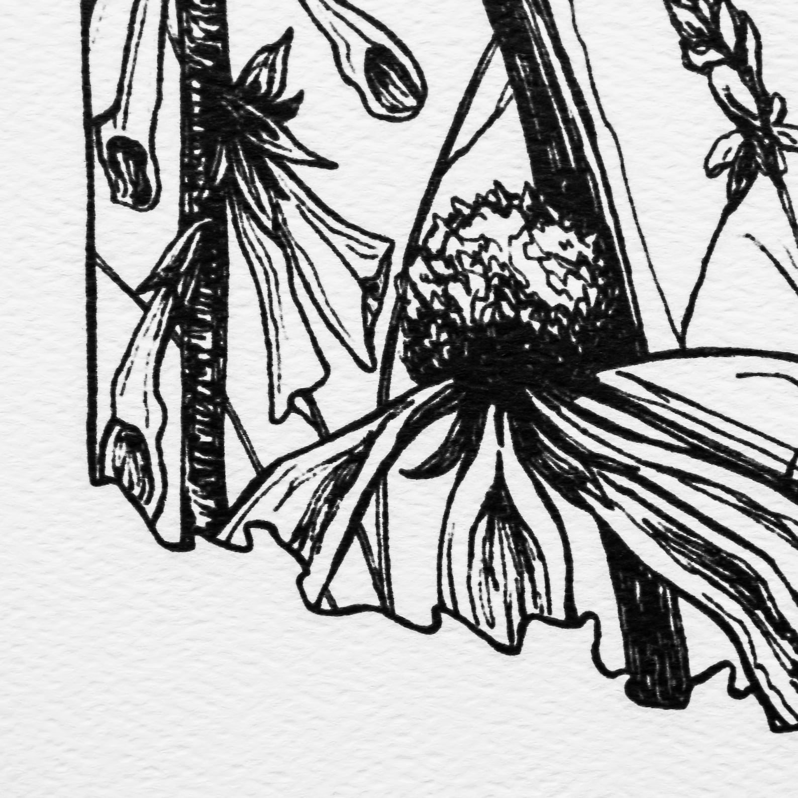 Oklahoma Art Oklahoma Print Oklahoma Art Print Oklahoma Etsy