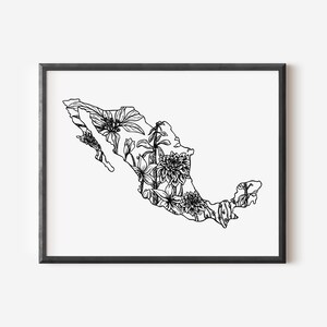 Mexico Floral Art Print