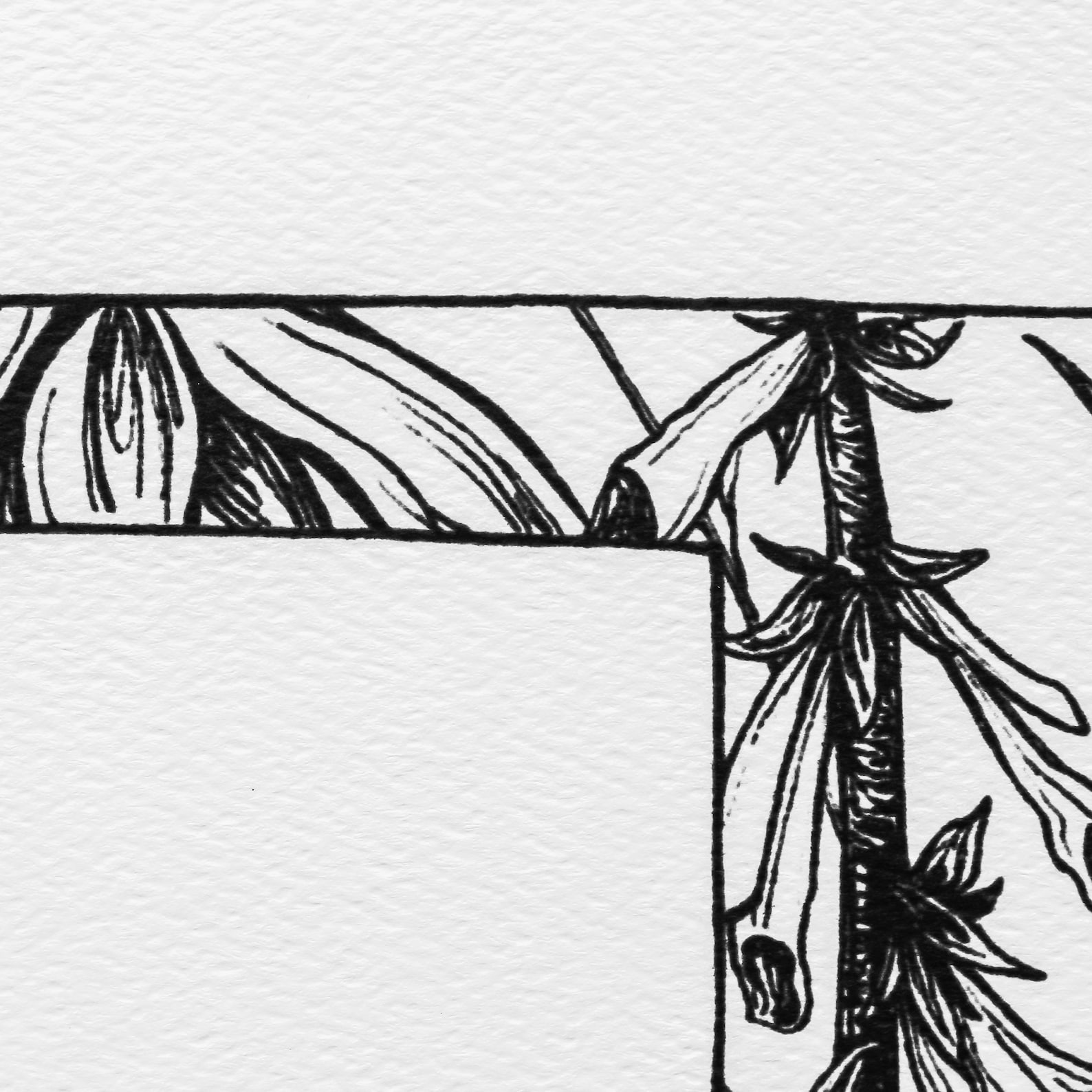 Oklahoma Art Oklahoma Print Oklahoma Art Print Oklahoma Etsy