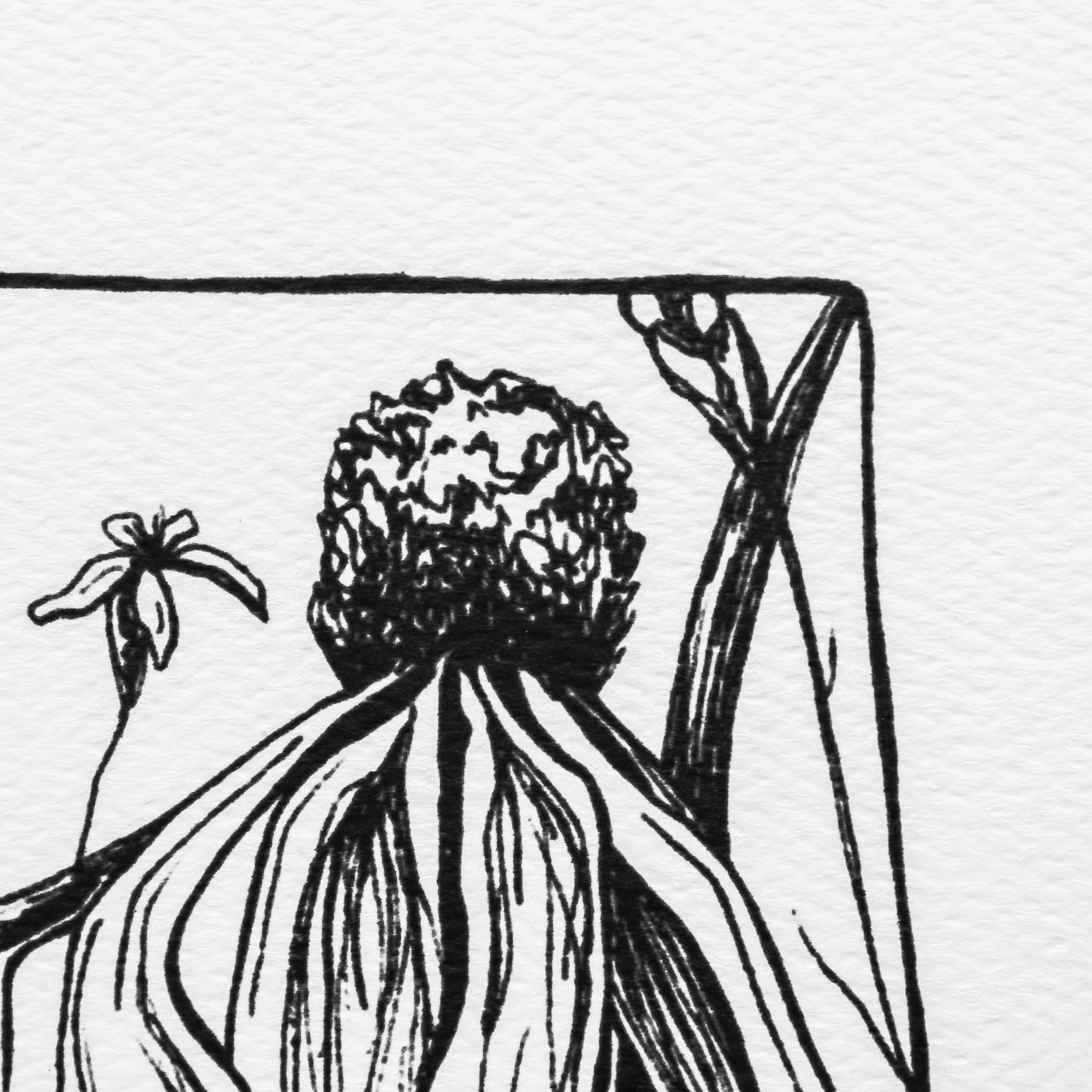 Oklahoma Art Oklahoma Print Oklahoma Art Print Oklahoma Etsy