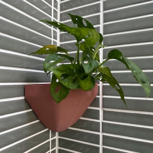 May include: A terracotta corner plant shelf with a green plant with large leaves. The shelf is mounted on a gray tiled wall.
