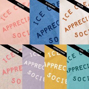 Ice Cream Appreciation Society T-shirt Unisex Slogan Tee Graphic Tee Women's Slogan T-Shirt Ice cream lovers Gift Mens t-shirt image 2