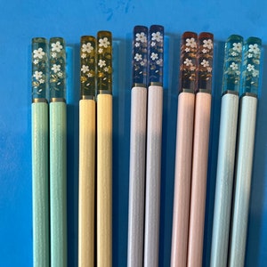 5 Color Variations Japanese Transparent Cherry Blossom Sushi Chopsticks  w/ Free Handmade Silk Holder