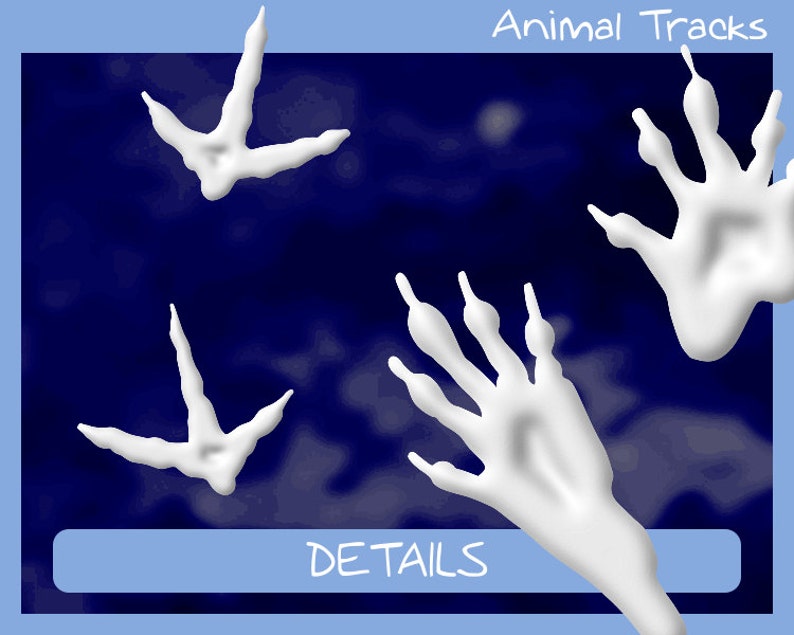Download Animal Tracks 12 different animals 44 footprints svg eps ...