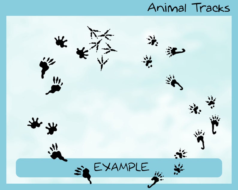 Download Animal Tracks 12 different animals 44 footprints svg eps | Etsy