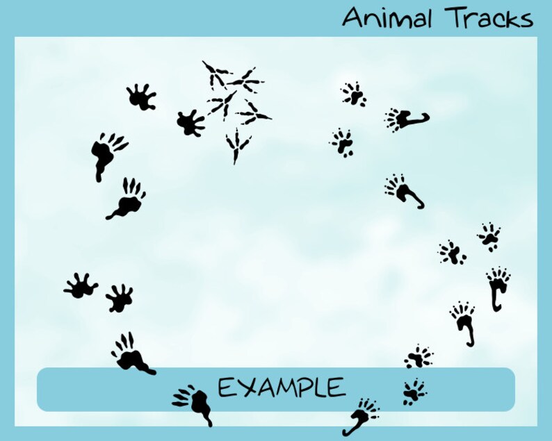 Download Animal Tracks 12 different animals 44 footprints svg eps | Etsy