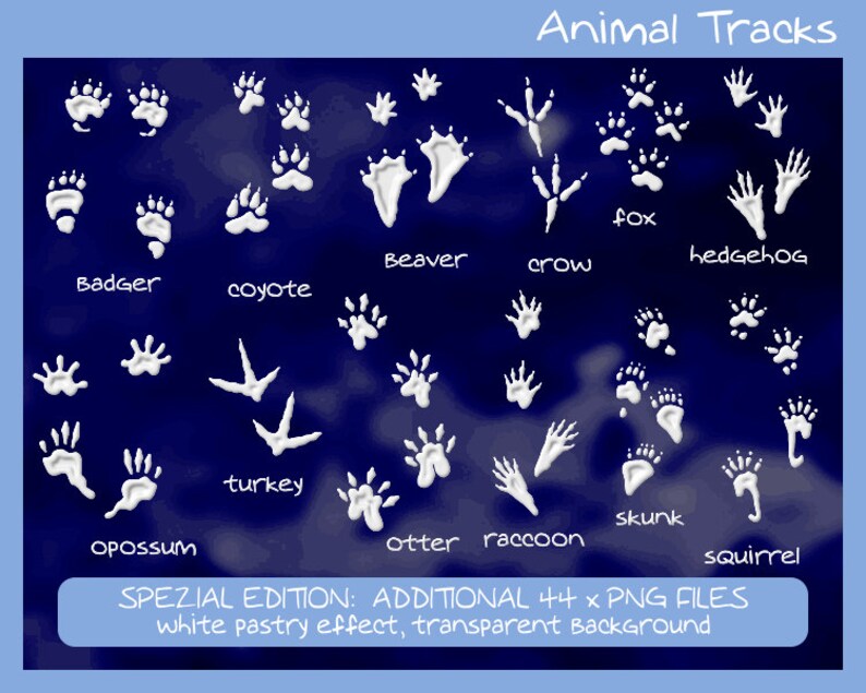 Animal Tracks 12 different animals 44 footprints svg eps | Etsy