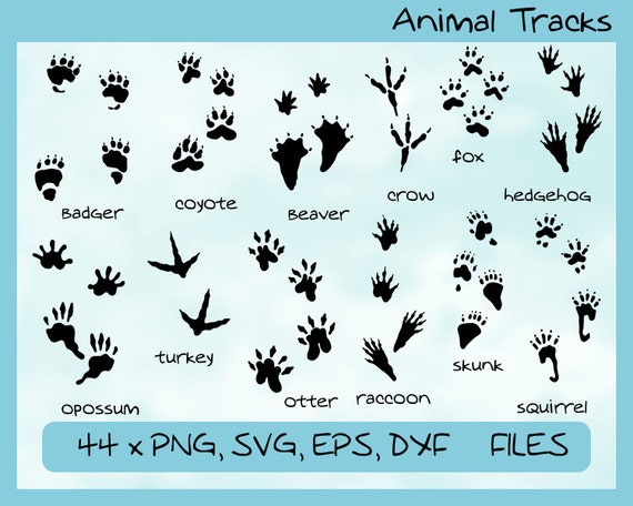 Download Animal Tracks 12 Different Animals 44 Footprints Svg Eps Etsy 3D SVG Files Ideas | SVG, Paper Crafts, SVG File