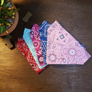 May include: A collection of five colorful dog bandanas with paisley patterns. The bandanas are red, light blue, pink, dark blue, and light pink. The bandanas are arranged in a fan shape on a dark wooden surface, with a small succulent plant and dog treats in the background.