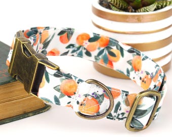 Orange Blossom Dog Collar: Handmade Collar with Metal or Plastic Buckle