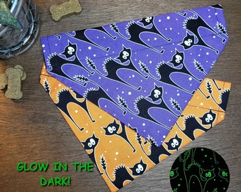 Pañuelo para perro de Halloween (sobre el collar) - Naranja o morado Scaredy Cats // Pañuelo para gato de Halloween // Brilla en la oscuridad // Lindo para Halloween
