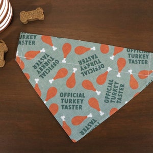 May include: A green bandana with a pattern of orange turkey legs and the text "Official Turkey Taster" repeated throughout.