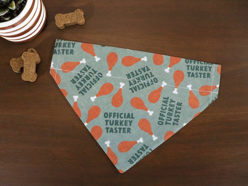 May include: A green bandana with a pattern of orange turkey legs and the text "Official Turkey Taster" repeated throughout.