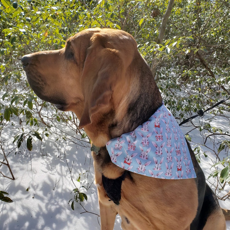 Easter Dog Bandana Over the Collar Easter Bunny Bandana // Etsy