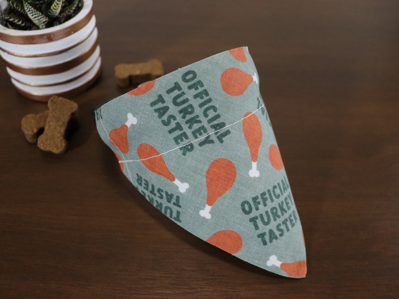 May include: A green and orange dog bandana with the text "Official Turkey Taster" repeated on the fabric. The bandana is in the shape of a triangle.