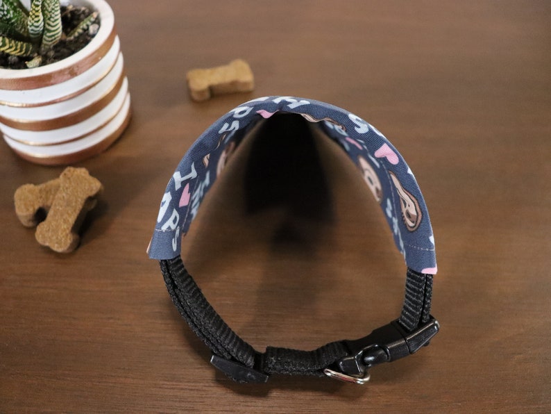 Puede incluir: Un collar para perros azul marino con una tela estampada con texto blanco, corazones rosas e ilustraciones de perros. El collar tiene una correa de nailon negro y una hebilla de pl&aacute;stico. Una peque&ntilde;a planta suculenta y golosinas para perros est&aacute;n en el fondo.