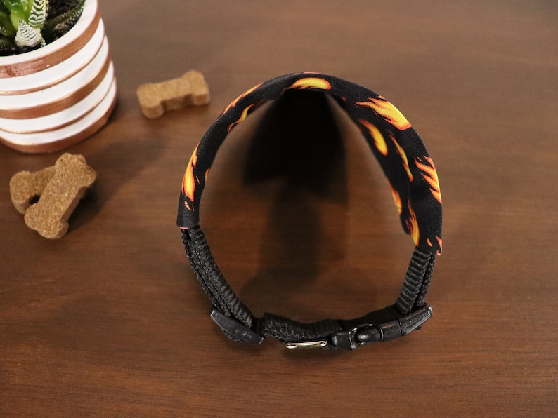 May include: Black dog collar with a flame pattern and a black buckle.
