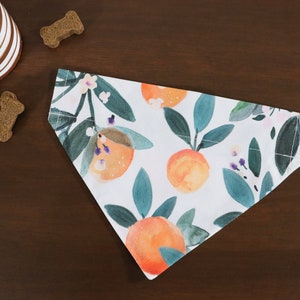 Orange Dog Bandana Personalized (Over the Collar) - Orange Blossoms // Cat Bandana // Summertime Bandana // Gift for pets