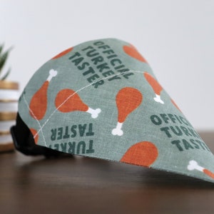 May include: A green dog bandana with a pattern of orange turkey legs and the text "Official Turkey Taster".
