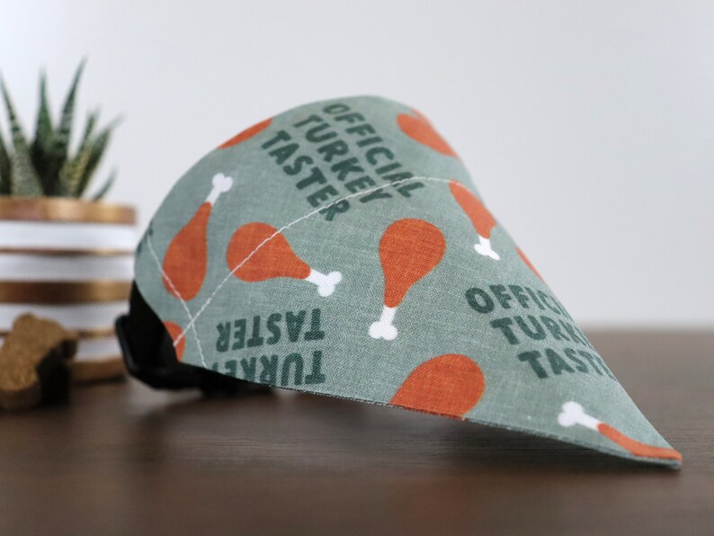 May include: A green dog bandana with a pattern of orange turkey legs and the text "Official Turkey Taster".
