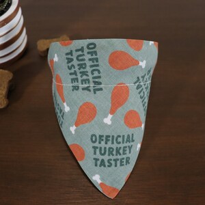 May include: A green bandana with a white bone and orange turkey leg pattern. The bandana has the text "OFFICIAL TURKEY TASTER" printed on it.