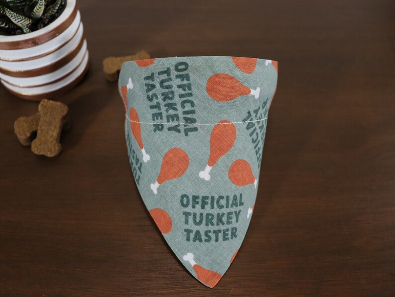 May include: A green bandana with a white bone and orange turkey leg pattern. The bandana has the text "OFFICIAL TURKEY TASTER" printed on it.