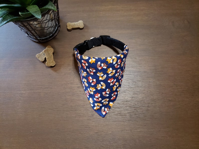 May include: A blue dog bandana with a pattern of orange and yellow foxes. The bandana is tied around a black collar.