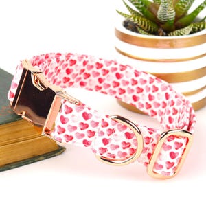 Heart Dog Collar / Tiny Hearts on White / Valentines Collar / Metal Buckle Hardware / Cute Dog Collar / Pink Dog Collar / Custom Dog Collar