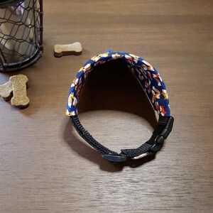 May include: A blue dog collar with a pattern of orange and white foxes. The collar has a black buckle.