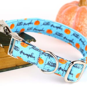 Pumpkin Dog Collar / Little Pumpkin / Metal Buckle Hardware / Cute Dog Collar / Autumn Dog Collar / Fall Dog Collar / Custom Dog Collar