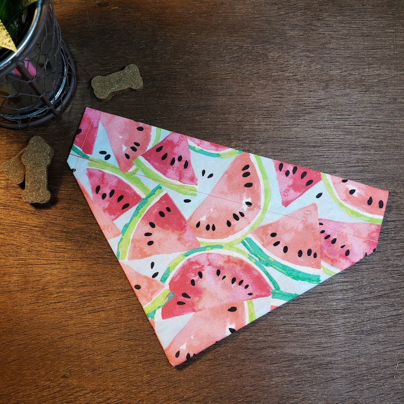 Watermelon Dog Bandana Personalized (Over the Collar) - Watermelon Slices // Cat Bandana // Summertime Bandana // Gift for pets 