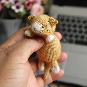 May include: A small, knitted cat figurine in shades of tan and white. The handmade cat has a white face and paws, with small ears and a tail. The cat is held in a hand, with a blurred background of a laptop and flowers.
